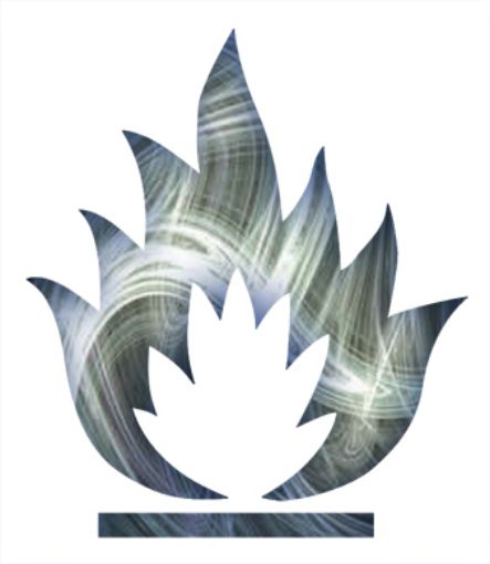 Imagen de Carga gas 2,8 kg