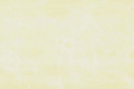 Imagen de Tablero madera cemento VIROC bruto/ 1c pul  BLANCO BR  12 mm