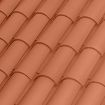 Imagen de TEJA CURVA CELLER NATURE 50x21 ROJA (Borja)