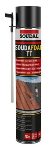 Imagen de Espuma PU TEJAS canula 750 ml