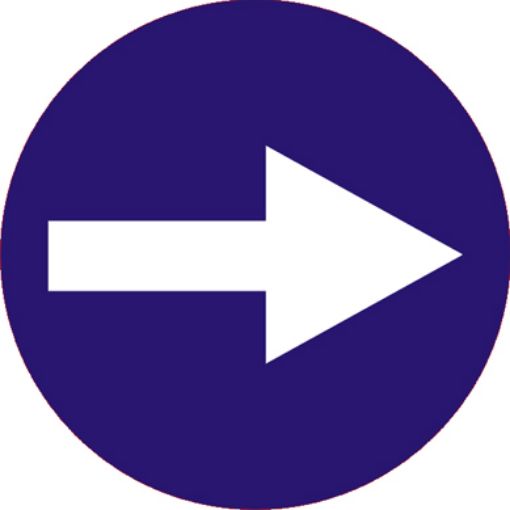 Imagen de Señal Direccion obligatoria (TR-400)