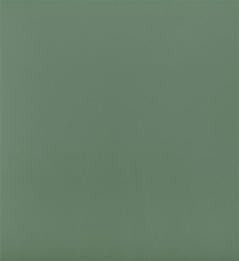 Imagen de Melamina Efeu U-4808 VL 19 mm