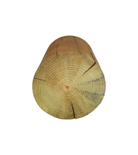 Imagen de Redondo Pino Autoclave Clase IV  Ø 60mm -  L 2000 1 punta