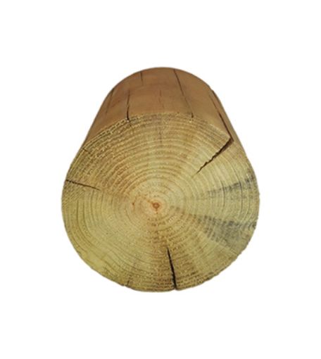 Imagen de Redondo Pino Autoclave Clase IV  Ø 80mm -  L 2500 1 punta