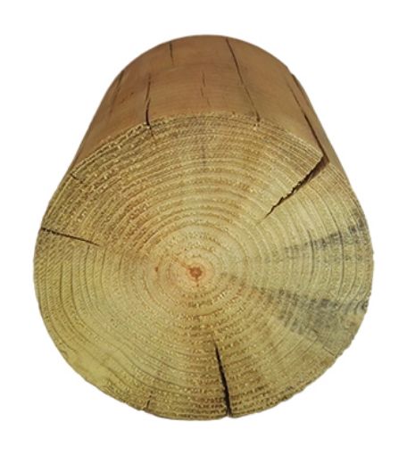 Imagen de Redondo Pino Autoclave Clase IV  Ø 160 mm - L 6000