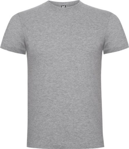 Imagen de Camiseta algodon manga corta "Gris" T-L