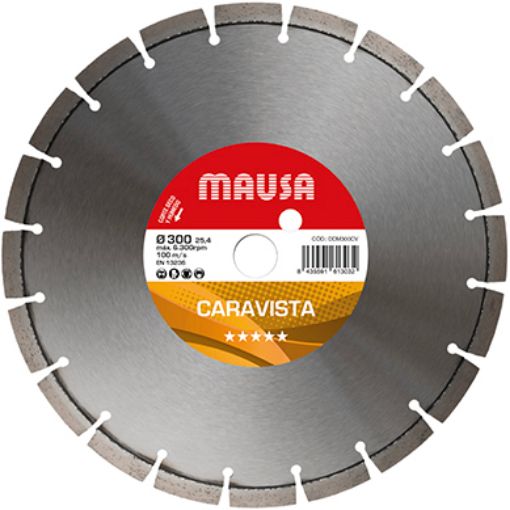 Imagen de Disco diamante MAUSA Ø 300 Cara vista