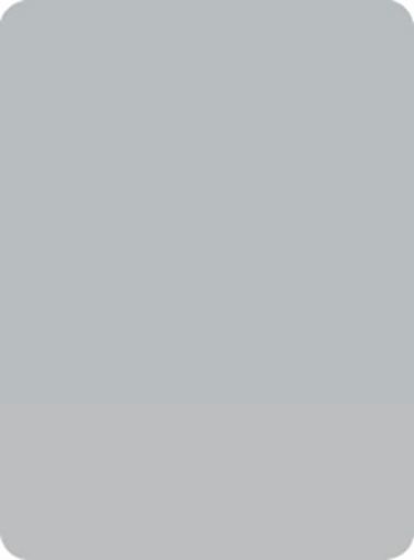 Imagen de Compacto MEG Cs2d0  2c 475 Gris sei  8 mm (nucleo marrón)