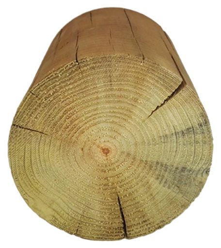 Imagen de Redondo Pino Autoclave Clase IV  Ø 200 mm - L 6000