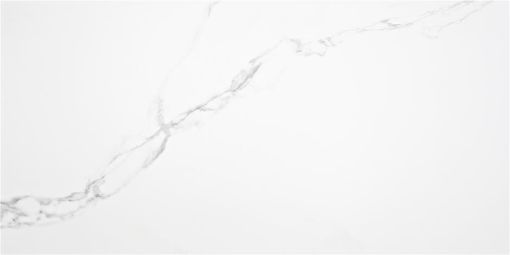 Imagen de PUNE RC 60X120  ALAPLANA