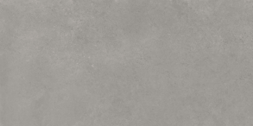 Imagen de TANUM CENIZA 30X60 ARGENTA